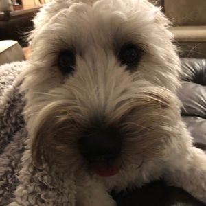 Meet your Posher, Angela